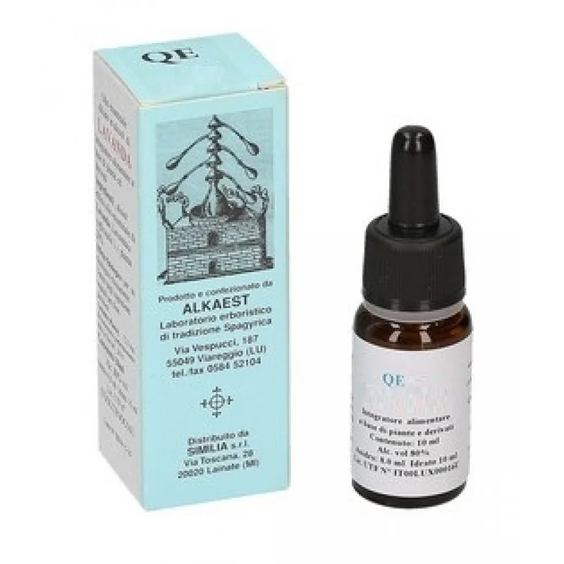 Qe13 Menta 10 ml