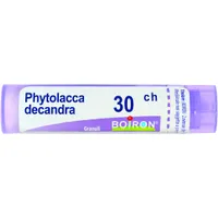 Phytolacca Decandra 30 Ch 80 Gr