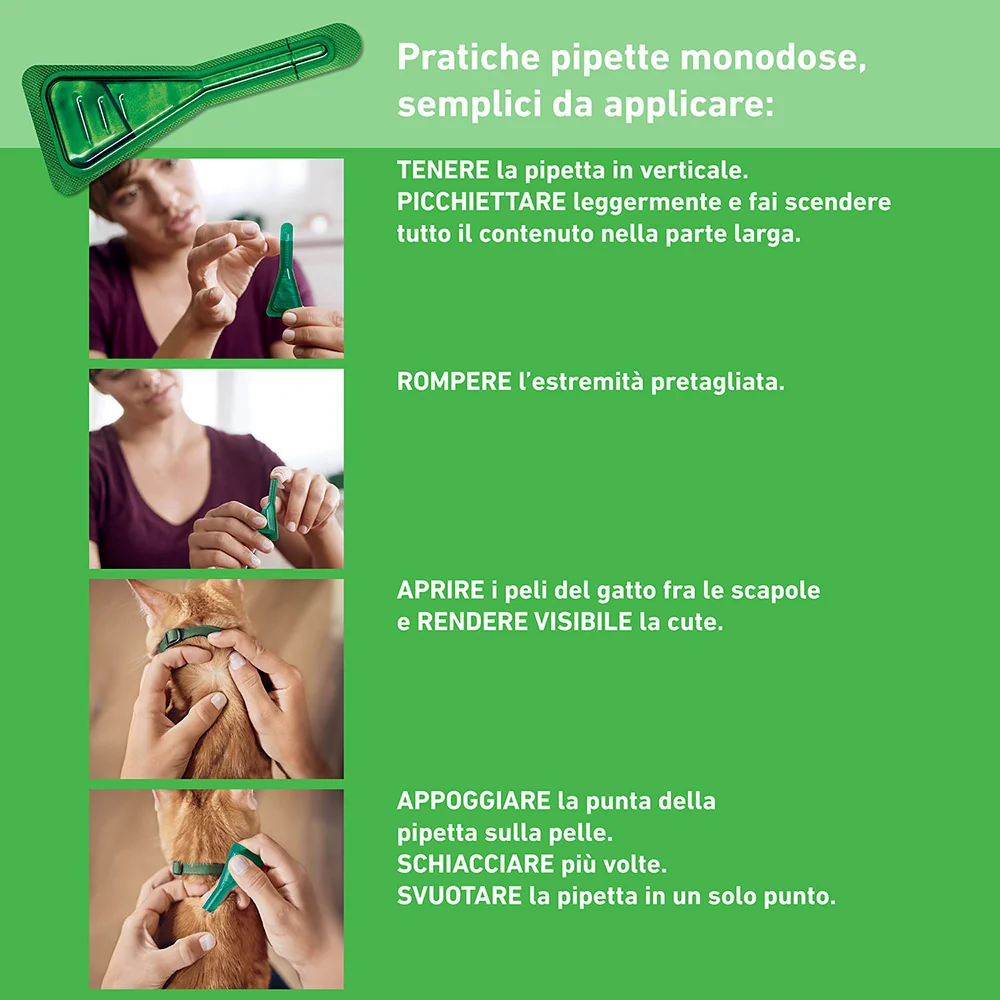 Frontline Combo Gatti X6 Antiparassitario Contro Pulci, Zecche E Pidocchi