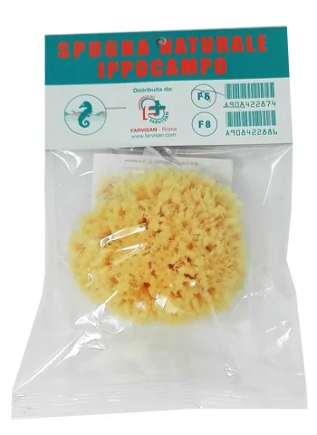 Amidosan Spugna Di Mare 11
