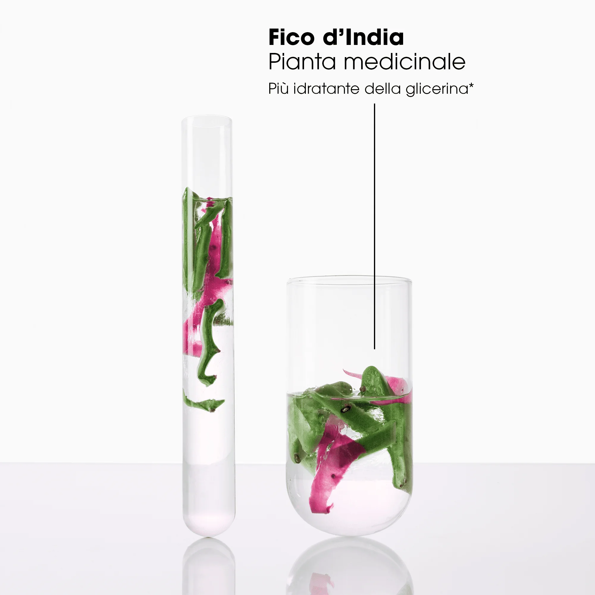 Klorane Shampoo idratante e illuminante Fico d’India 400 ml Idratante e illuminante