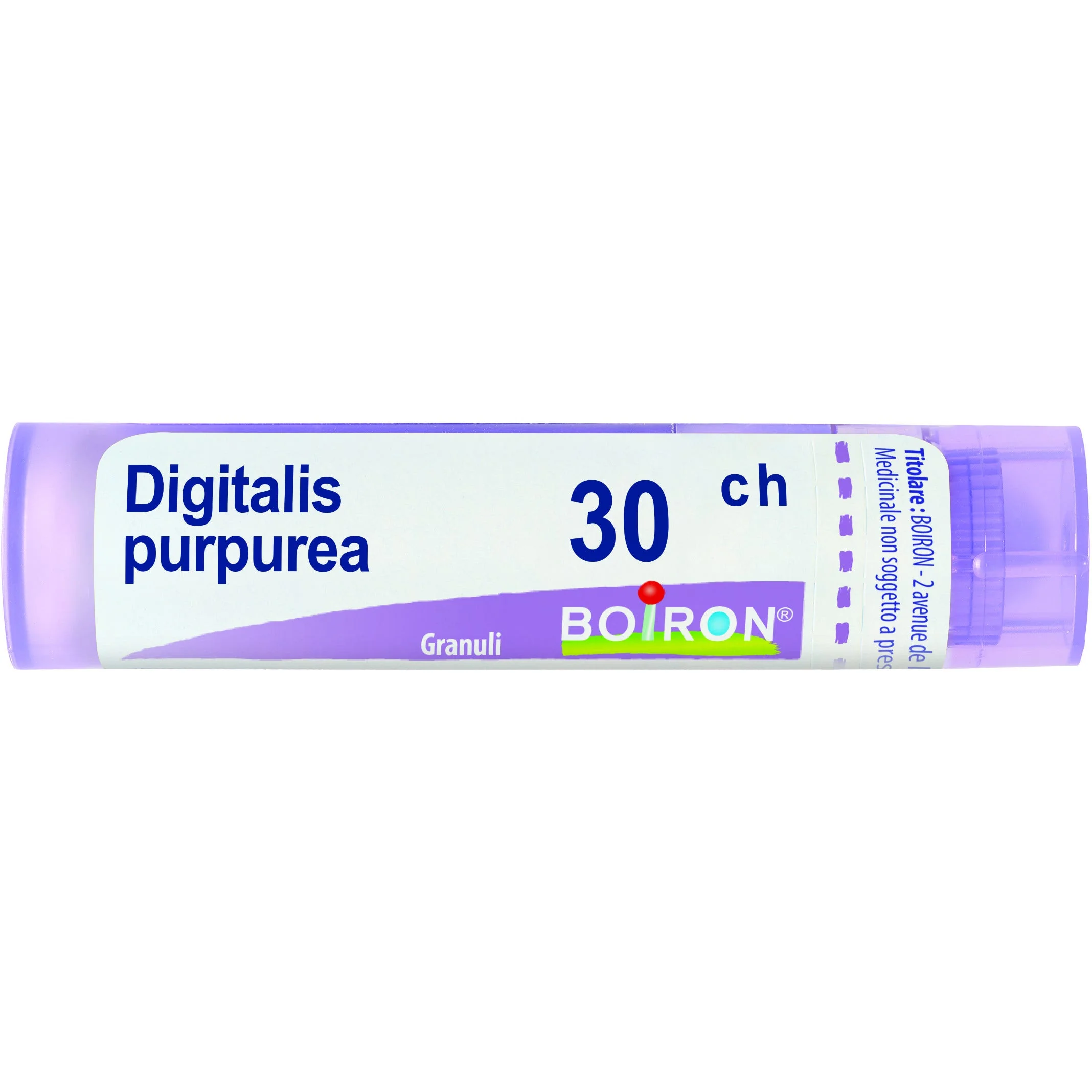 Digitalis Purpurea 30 Ch 80 Gr4 G