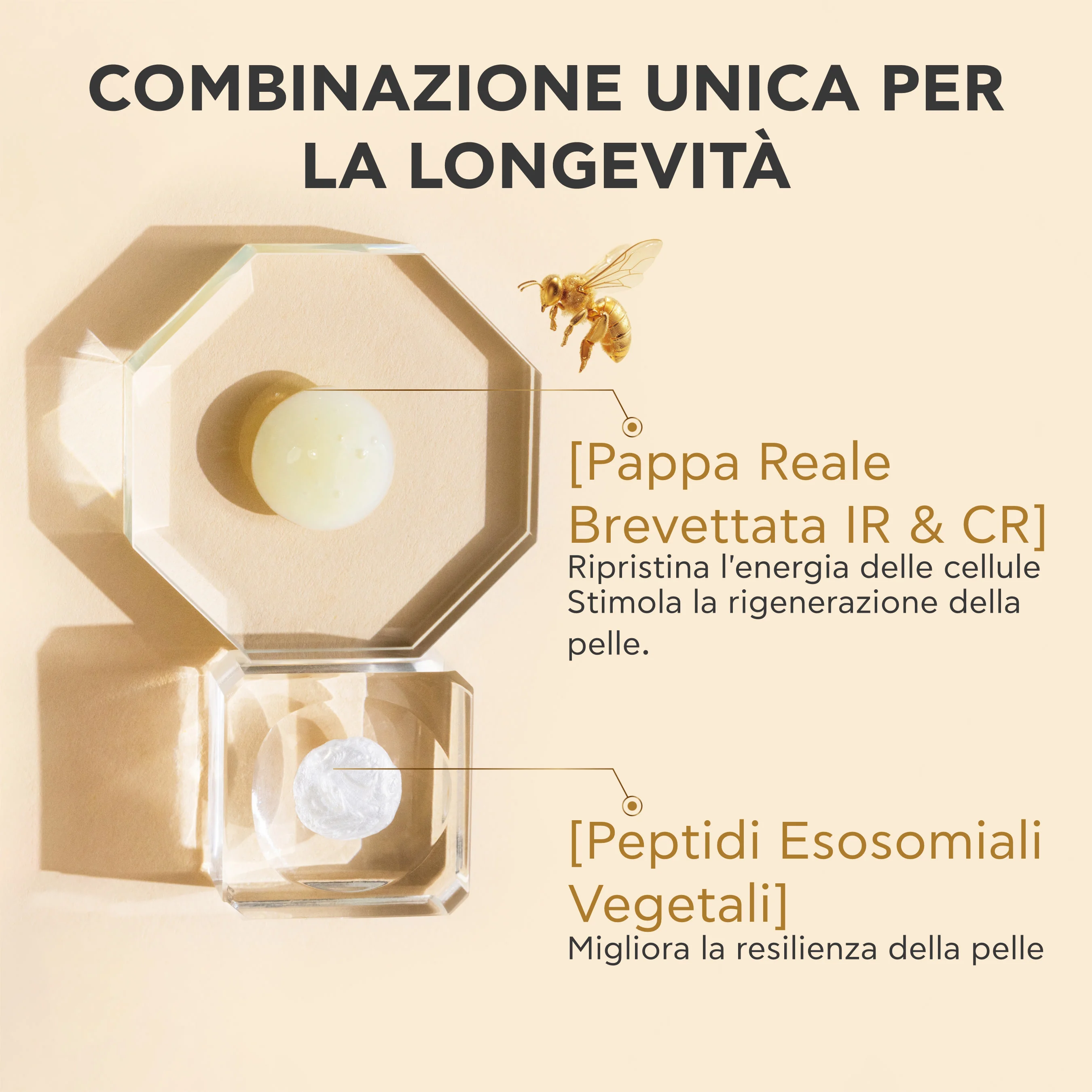 Apivita Queen Bee Longevity Day Crema Rich 50 ml Crema Giorno