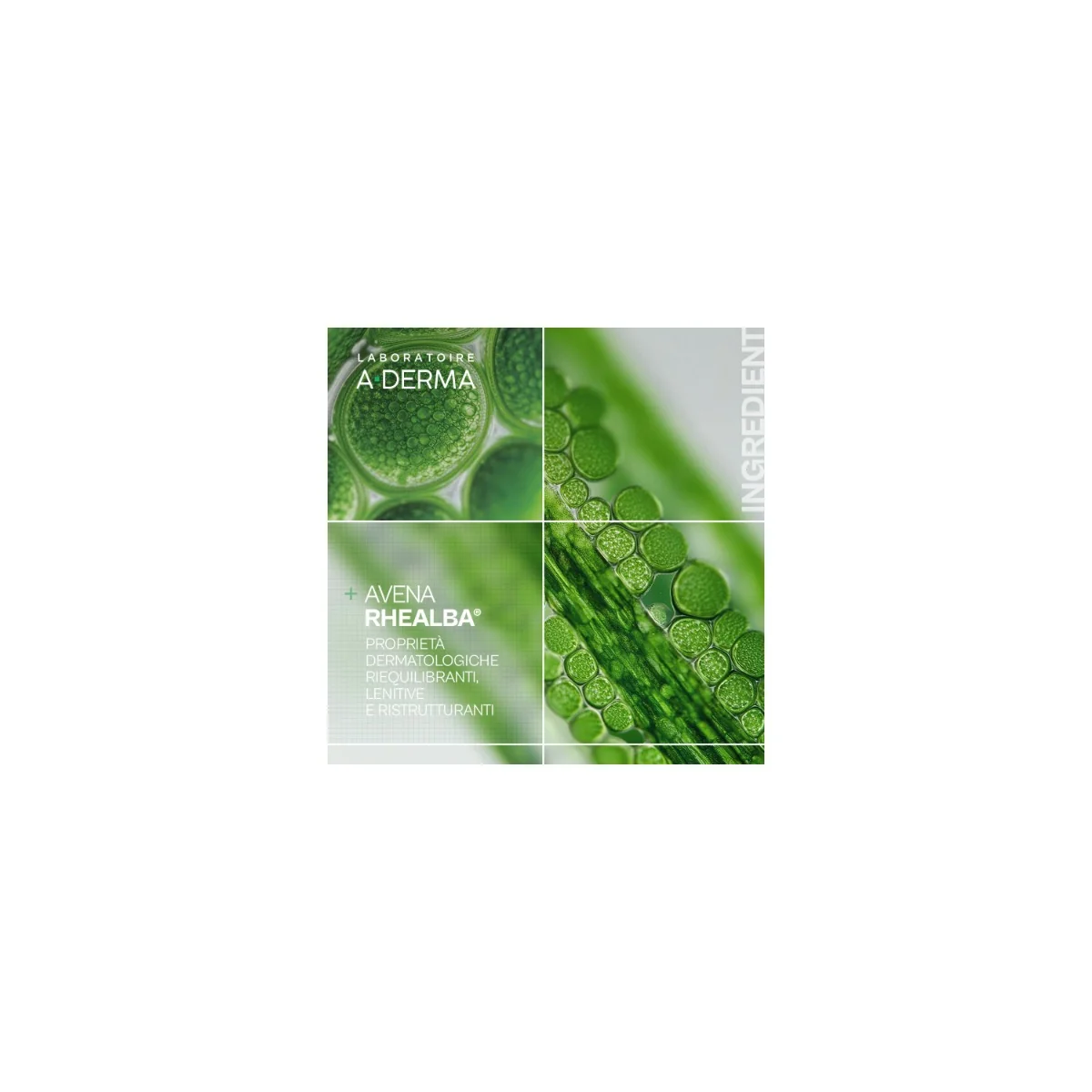 Exomega Control Olio Lavante Emolliente 750 Ml