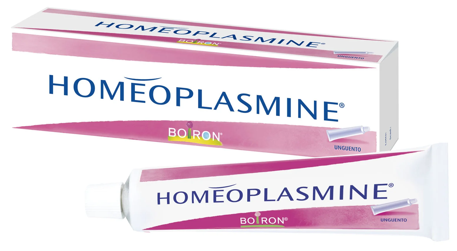 Boiron Homeoplasmine Rimedio Omeopatico per Irritazione Mucosa Nasale 40 g