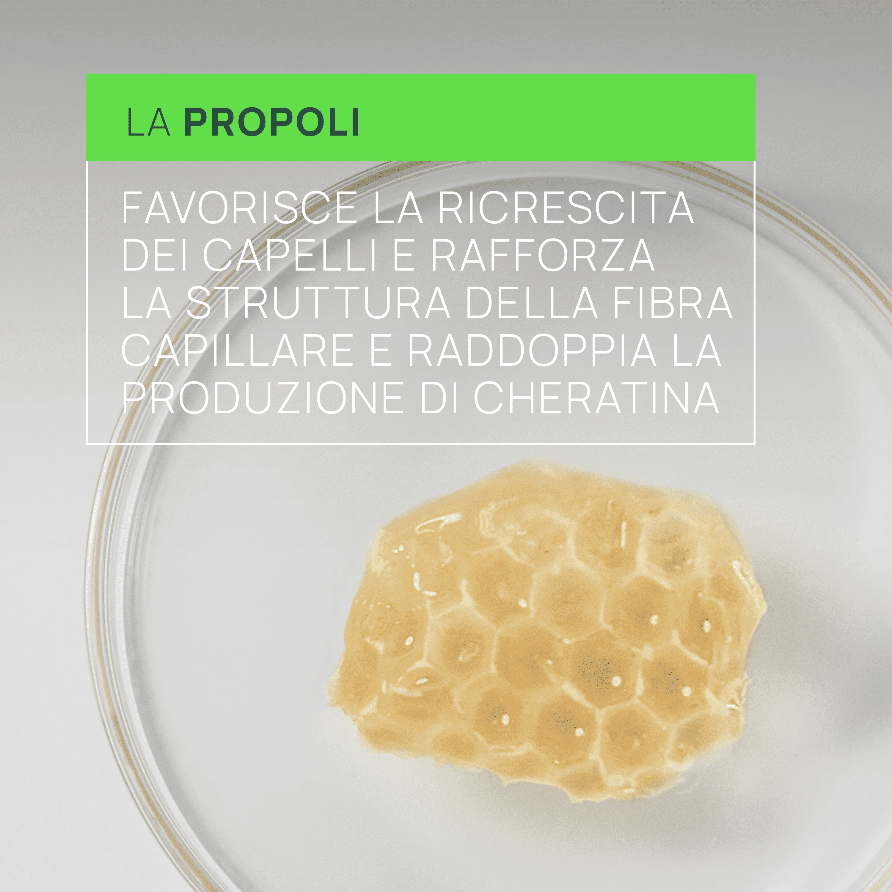 René Furterer Triphasic  Reactional Trattamento 2-in-1 Anticaduta & Crescita 12 unità Caduta Reazionale