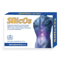 Silicos 30Bust