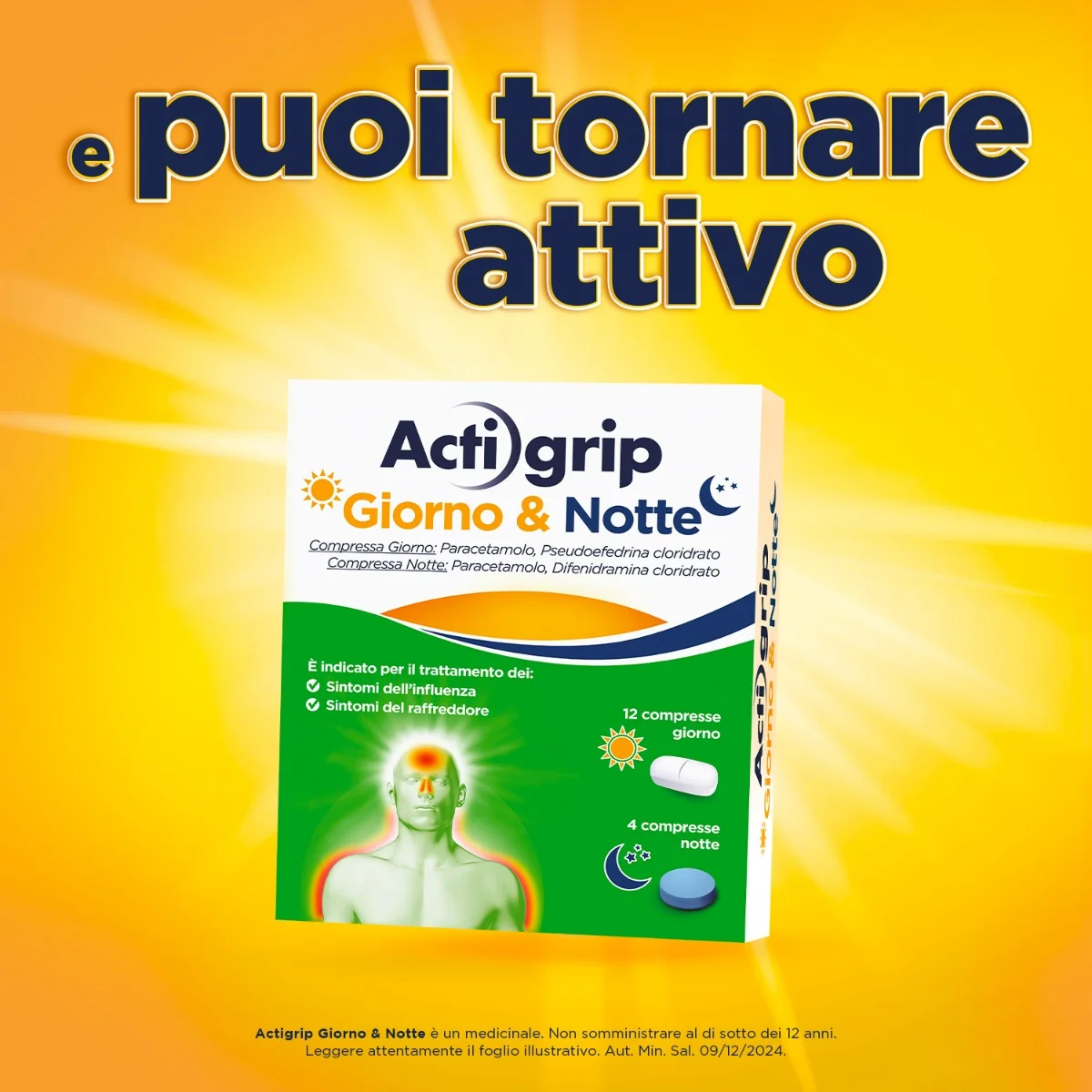 Actigrip Giorno E Notte 12+4 Compresse Raffreddore e Influenza