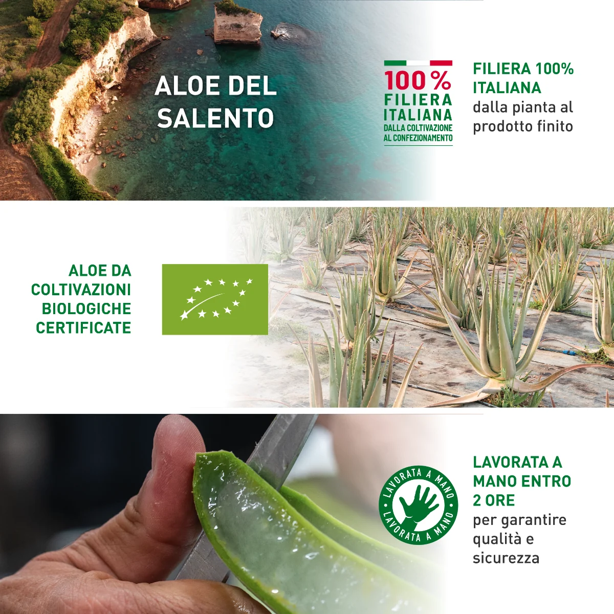 Equilibra Aloe Bio 750 Ml Succo con Polpa