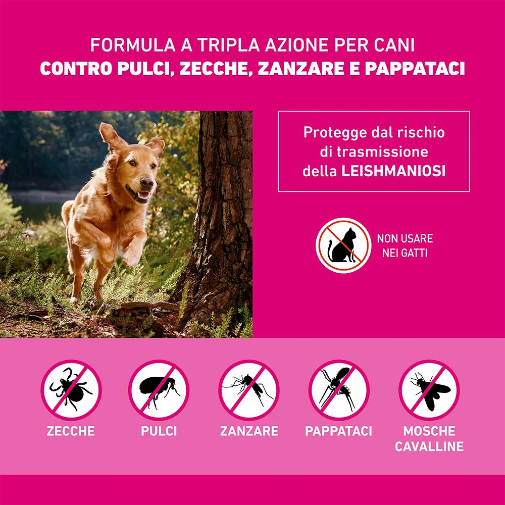 Frontline Tri-Act X3 Antiparassitario Per Cani Contro Parassiti E Insetti Volanti (10-20Kg)
