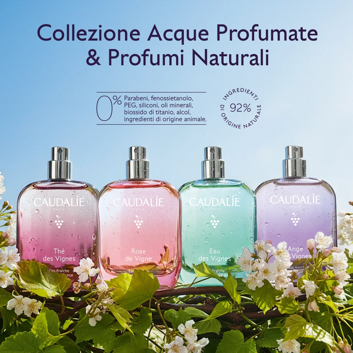 Ange Des Vignes Eau De Parfum 50 Ml