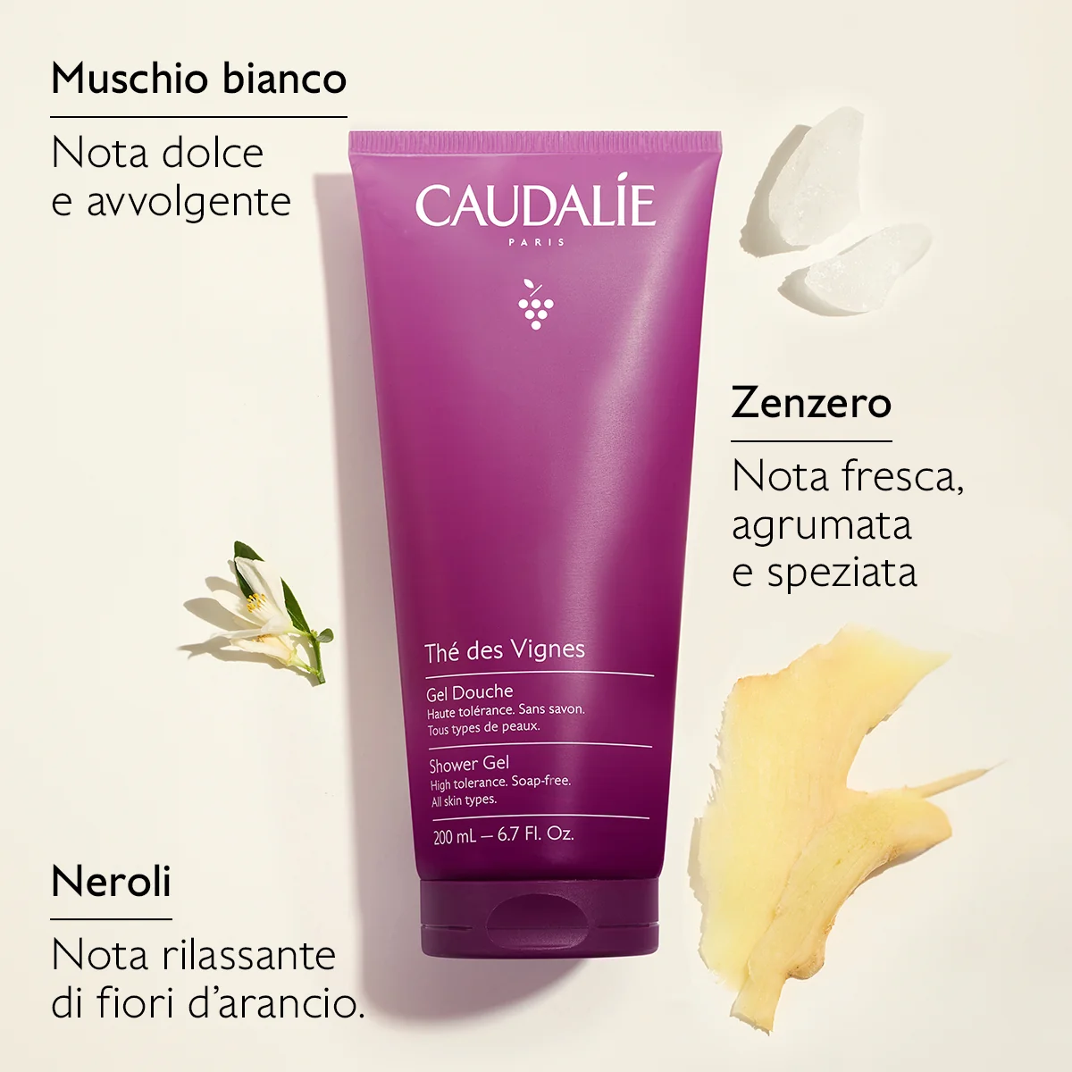 The' Des Vignes Cofanetto Trattamento Corpo Xmas26