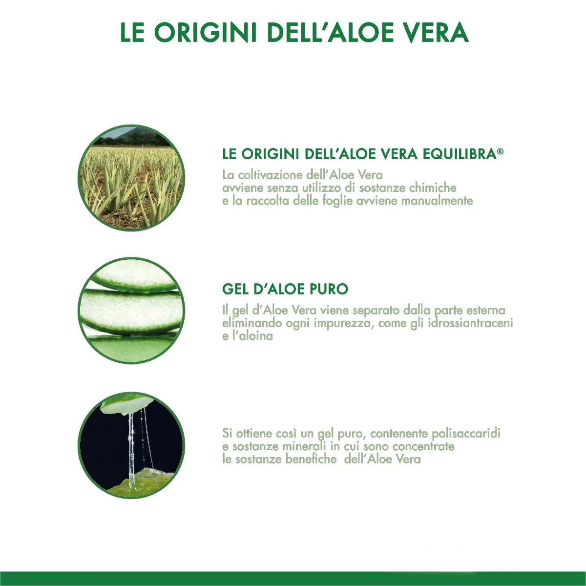 Equilibra Buon Aloe Vera 95% 500 Ml Azione Depurativa