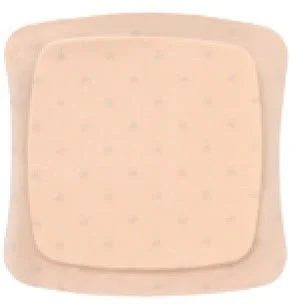 Aquacel Ag Foam Ades 10X10 10P