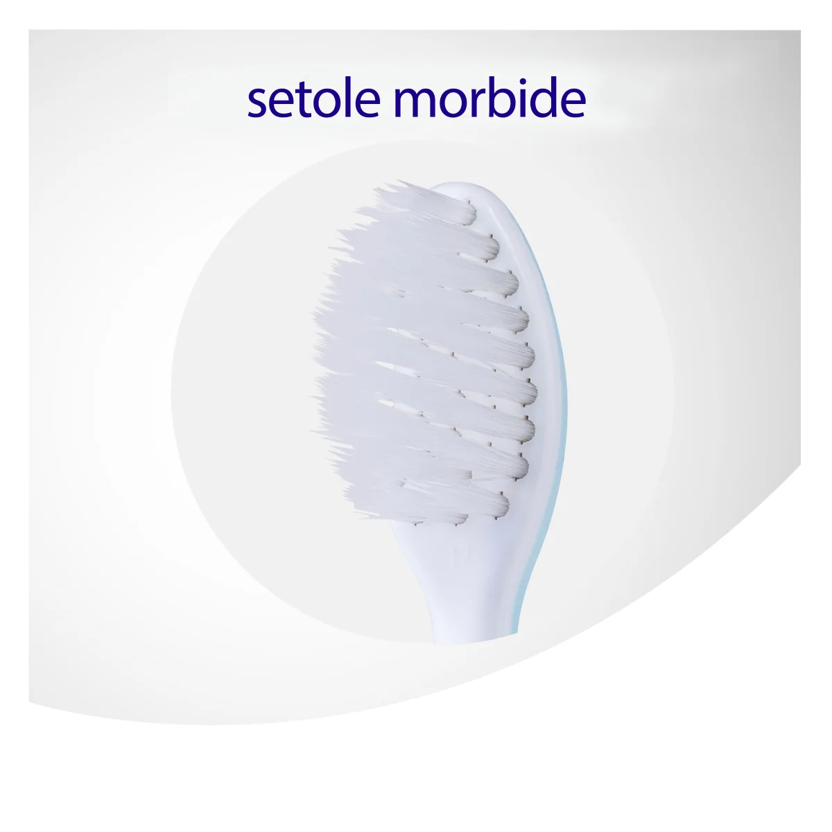 Meridol Protezione Gengive Spazzolino Morbido Igiene Orale