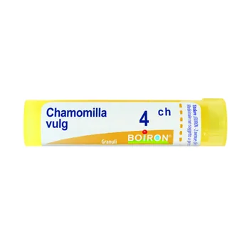 Chamomilla Vulgaris 4Ch 80 Gr