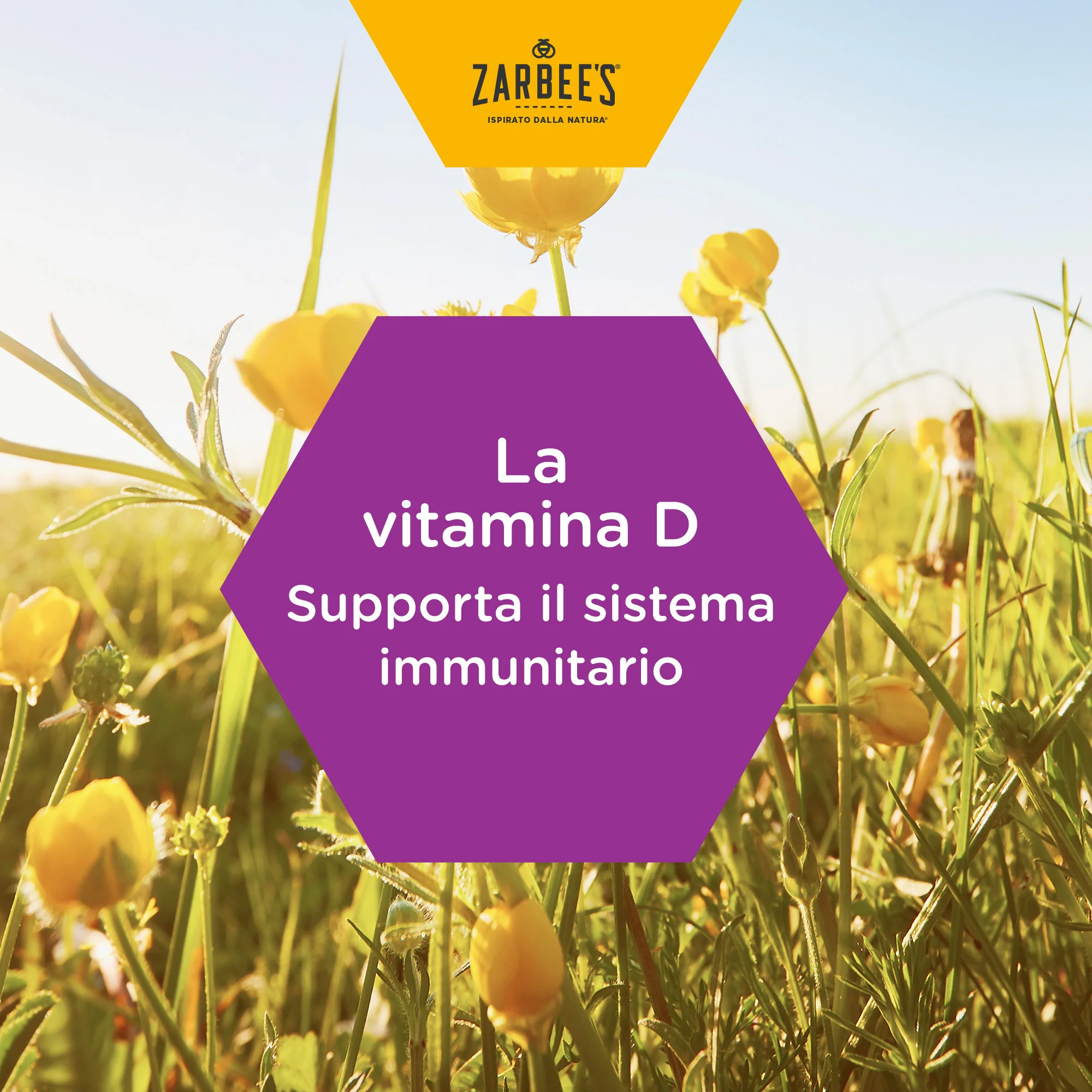 Zarbee's Sciroppo Difese Immunitarie Bambini 120 ml Integratore Alimentare e Multivitaminico