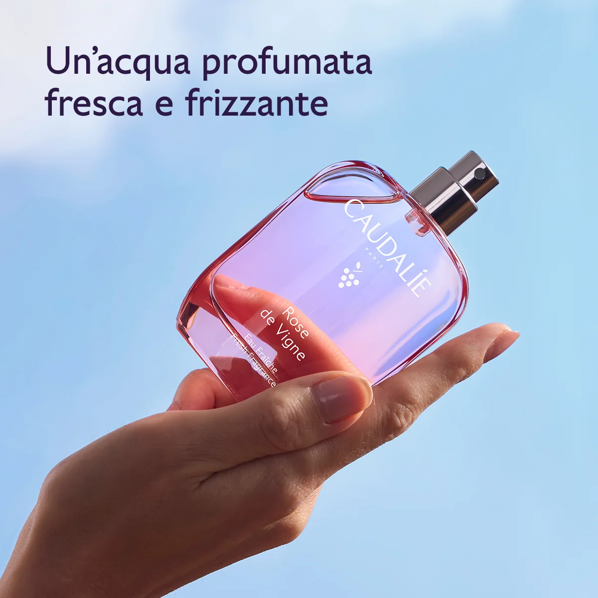 Rose De Vigne Cofanetto Xmas26