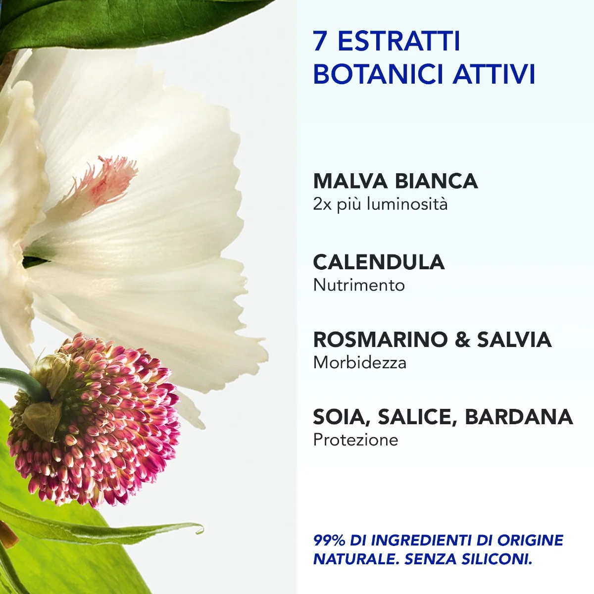 Phyto 7 Elixir Crema Univ 50Ml