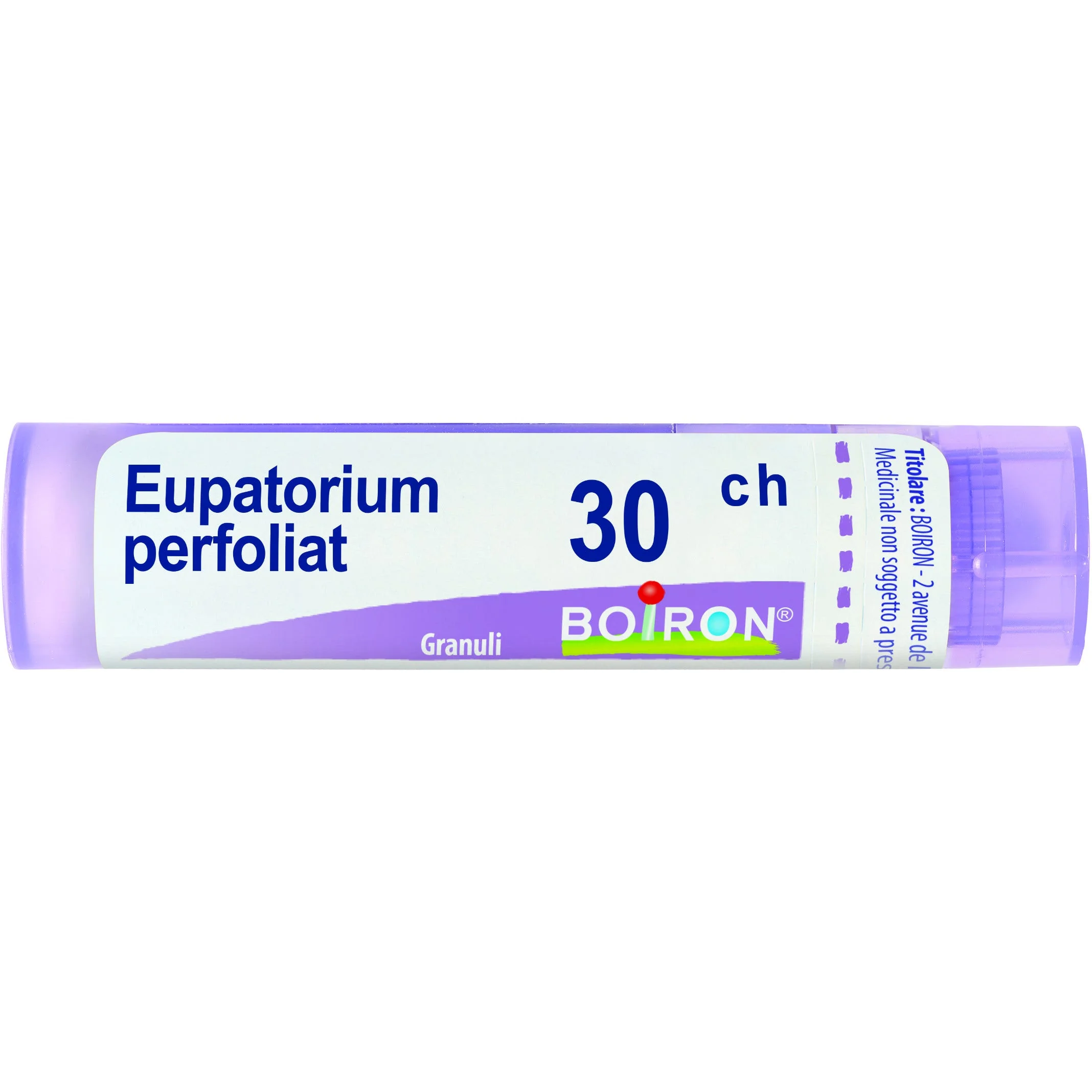 Eupatorium Perfoliatum 30 Ch