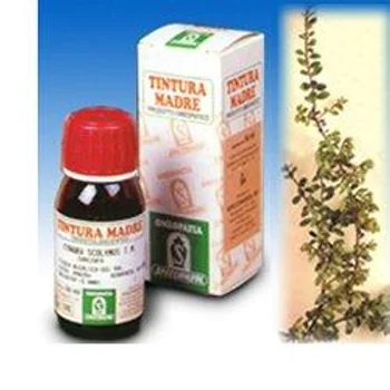 Specchiasol Uva Ursina 30 Tintura Madre 50 ml