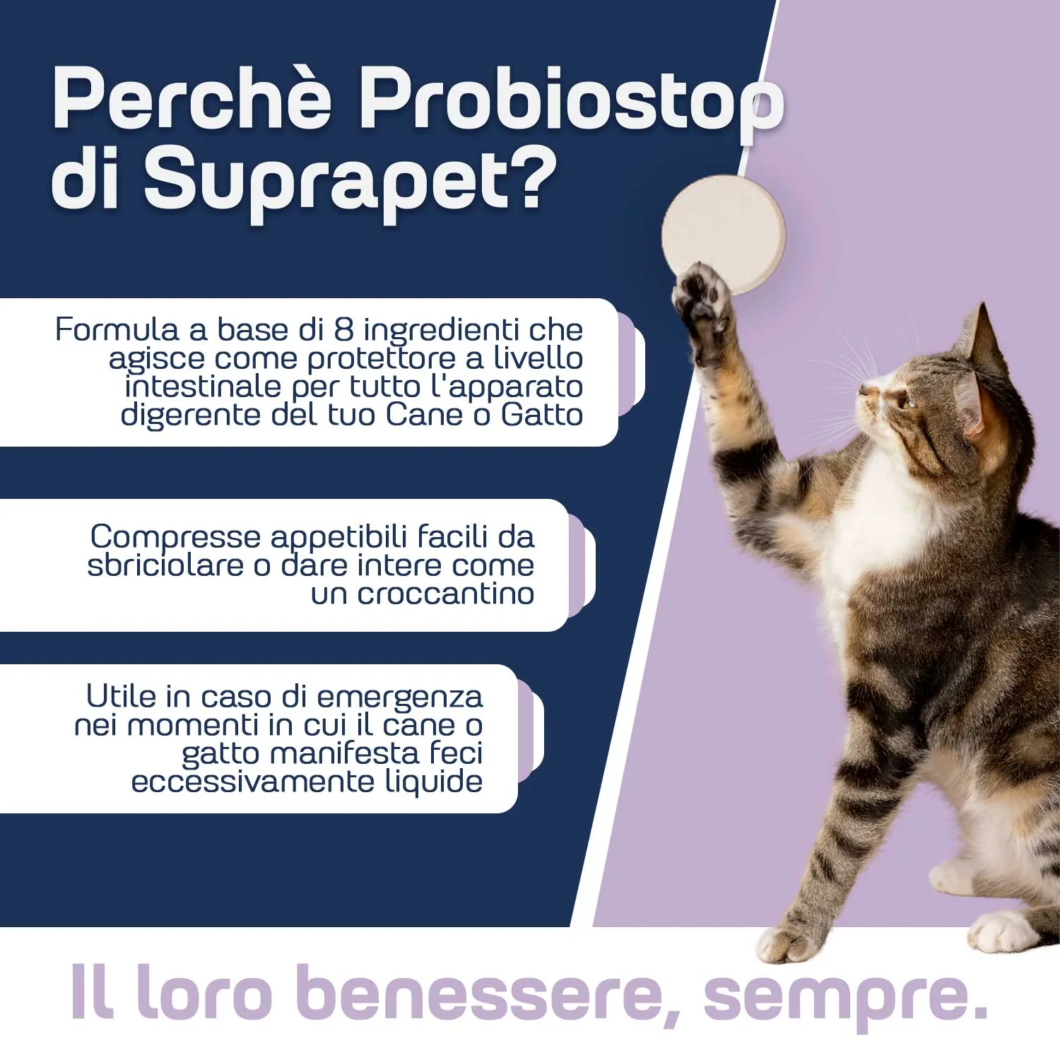 Suprapet Probiostop 30Cpr Azione Protettiva e Gastroprotettiva