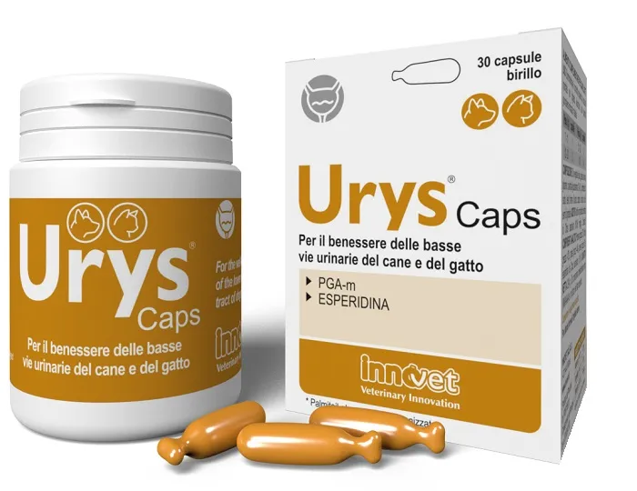 Innovet Urys Caps Integratore Vie Urinarie Cane e Gatto 30 Capsule Birillo