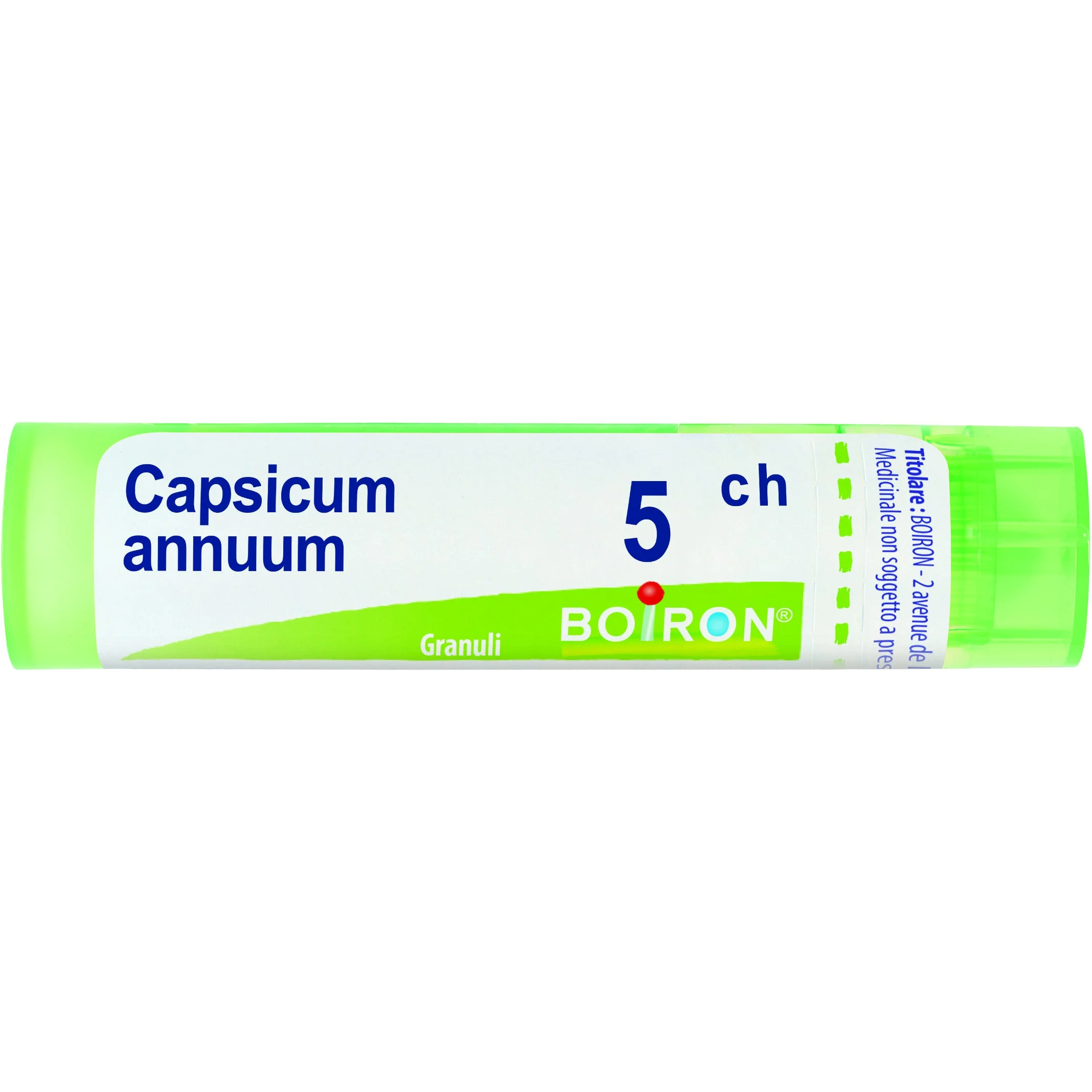 Capsicum Annuum 5 Ch 80 Gr 4 G 