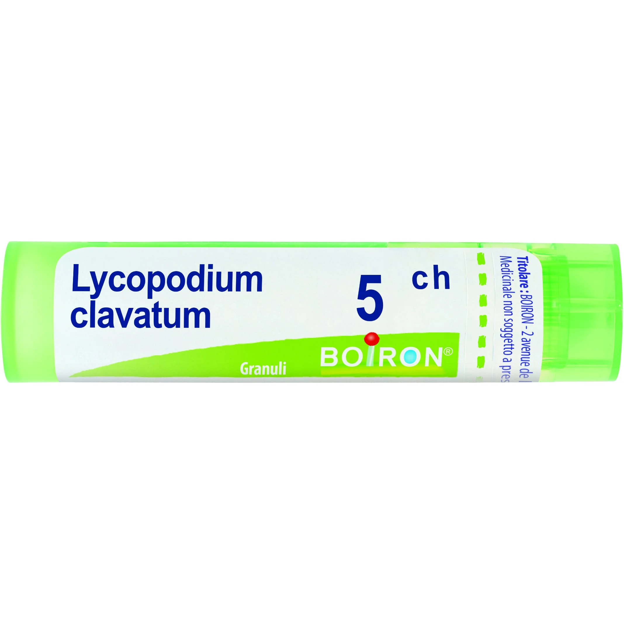 Lycopodium Clavatum 5 Ch 80 Gr
