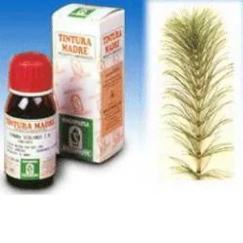 Specchiasol Equiseto 12 Tintura Madre 50 ml