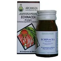 Echinacea 60 Capsule