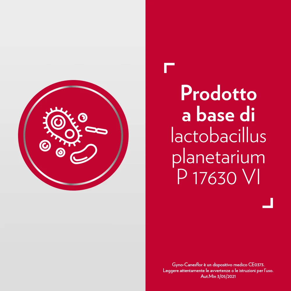 Gyno-Canesflor 10 Capsule Vaginali Ovuli con Lattobacilli
