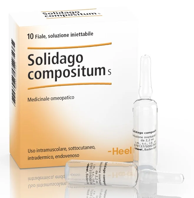 Heel Solidago Compositum 10 Fiale Da 2,2 Ml L'Una