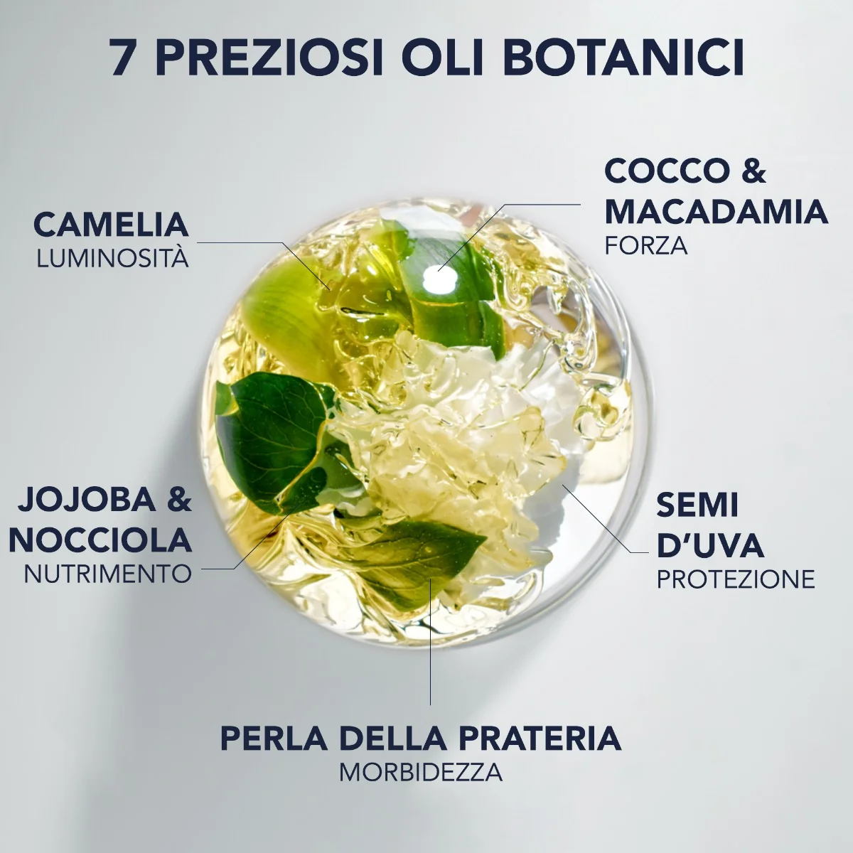Phyto Elixir Olio Sublimante Universale 100 Ml Nutre in Profondità