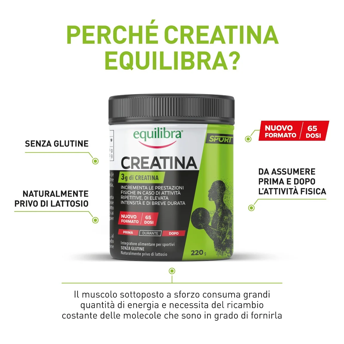 Equilibra Creatina 220 G Integratore Sportivo