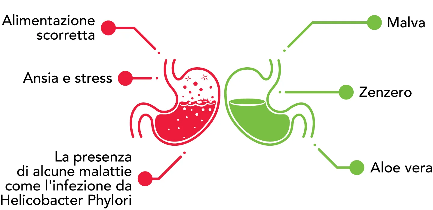 rimedi per acidità di stomaco rimedi per acidità di stomaco