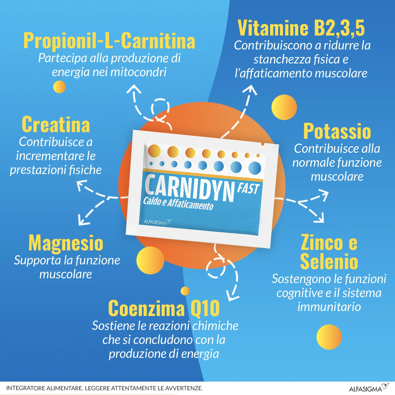 Alfasigma Carnidyn Fast 20 Bustine Integratore Magnesio Potassio e Carnitina