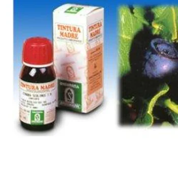 Mirtillo 31 50 ml Tintura Madre