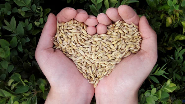 Statine naturali: funzionano davvero? Migliori alternative alle statine