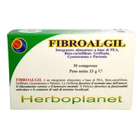 Fibroalgil 30 Compresse