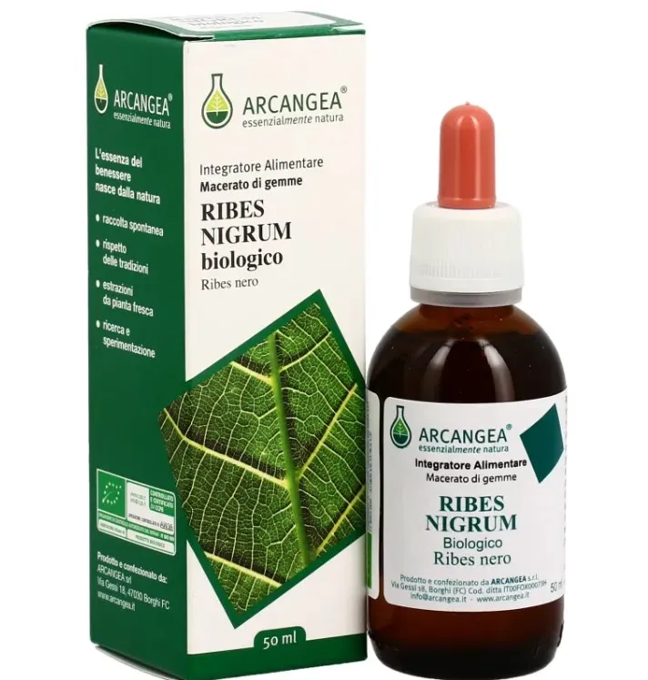 Ribes Nigrum Gd 33 Bio 100 ml