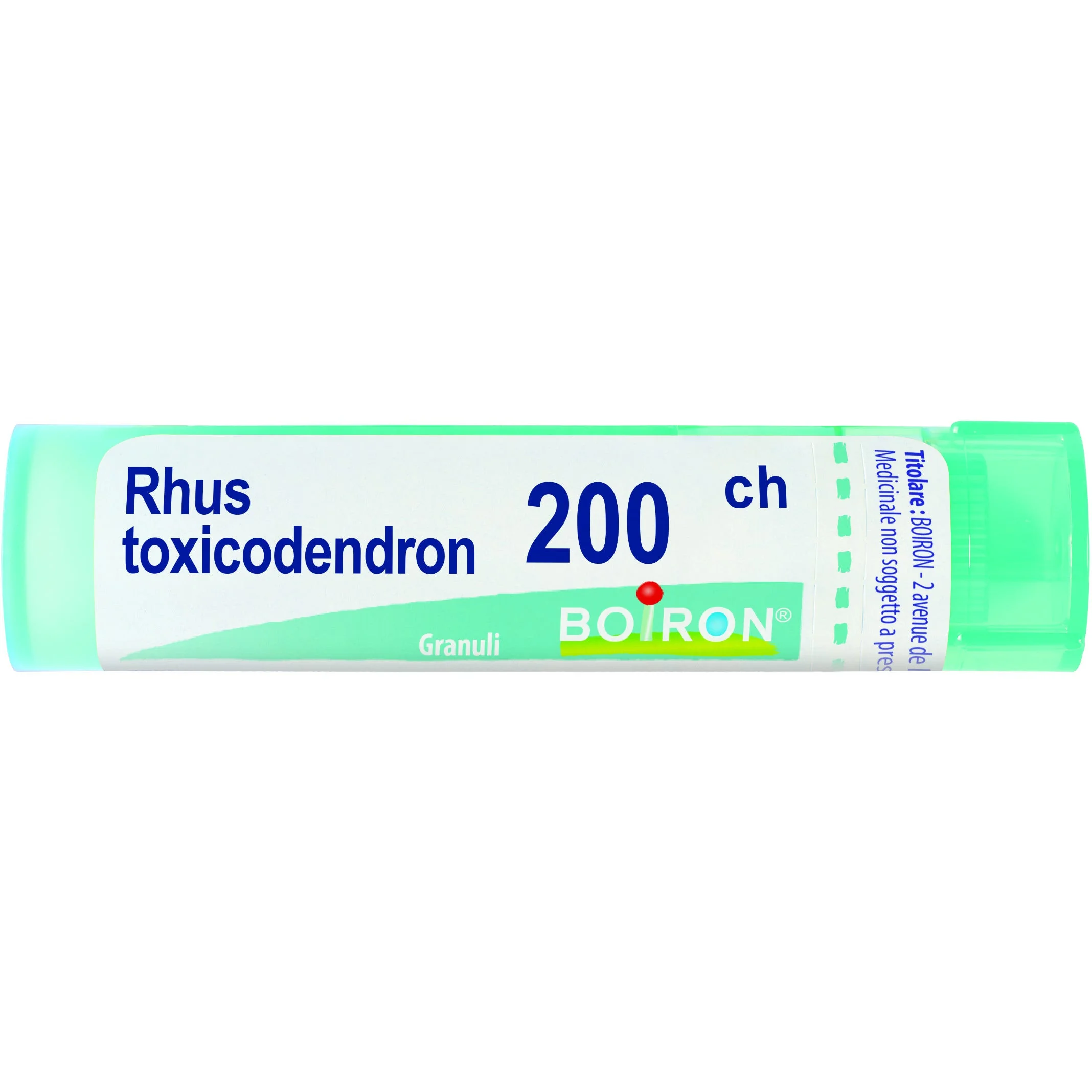 Rhus Toxicodendron 200 Ch 80 Gr