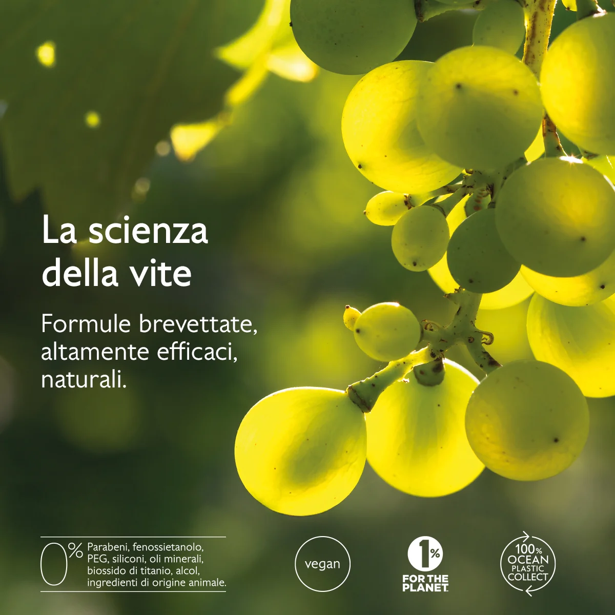 Vinoclean Schiuma Detergente 150 Ml