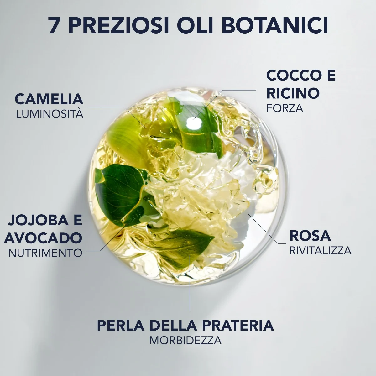 Phyto Elixir Olio Sublimante Disciplinante 100 Ml Capelli Morbidi