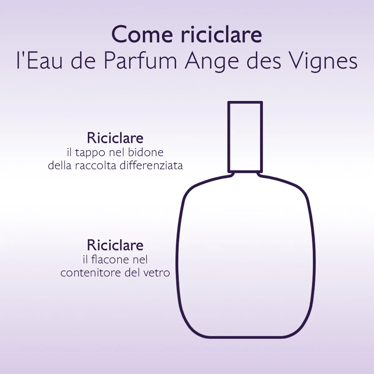 Ange Des Vignes Eau De Parfum 50 Ml