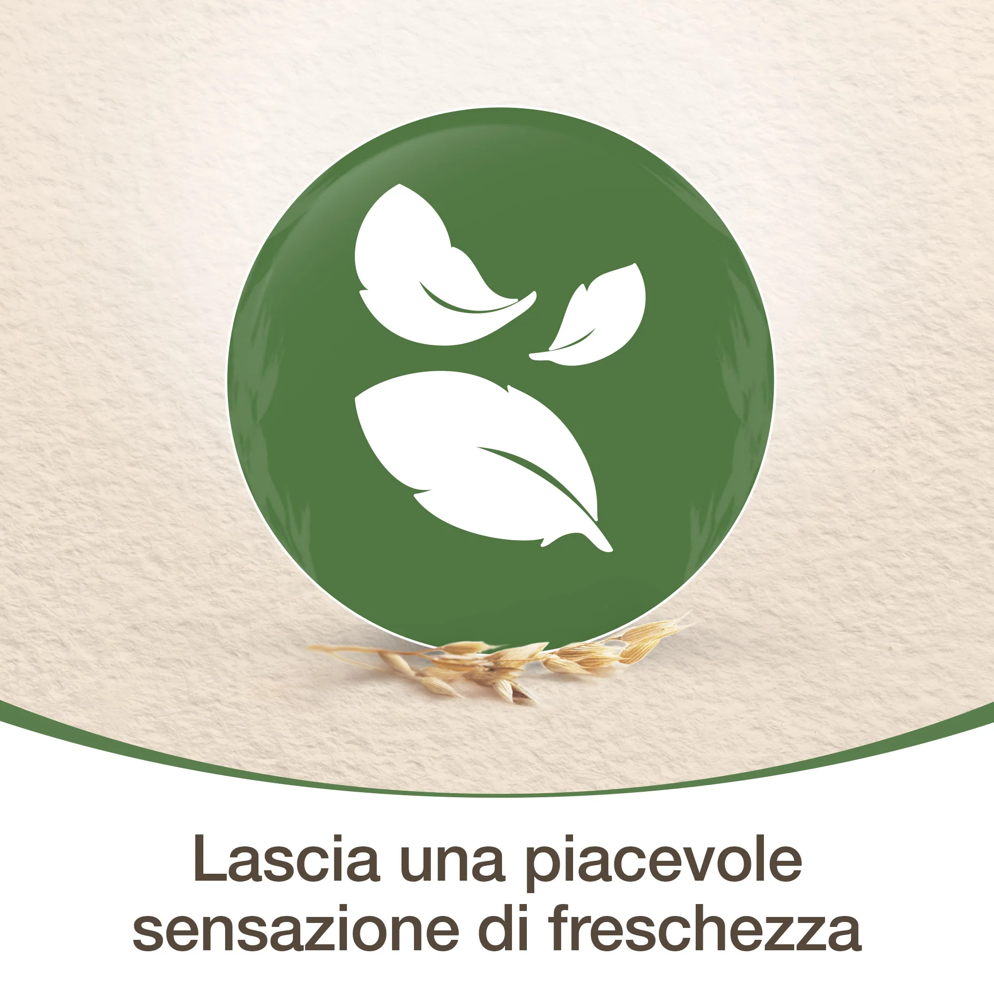 Aveeno Bagno Doccia Idratante Corpo PROMO 500 ml