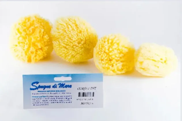 Spugna Mare Naturale XL Detersione Quotidiana del Corpo