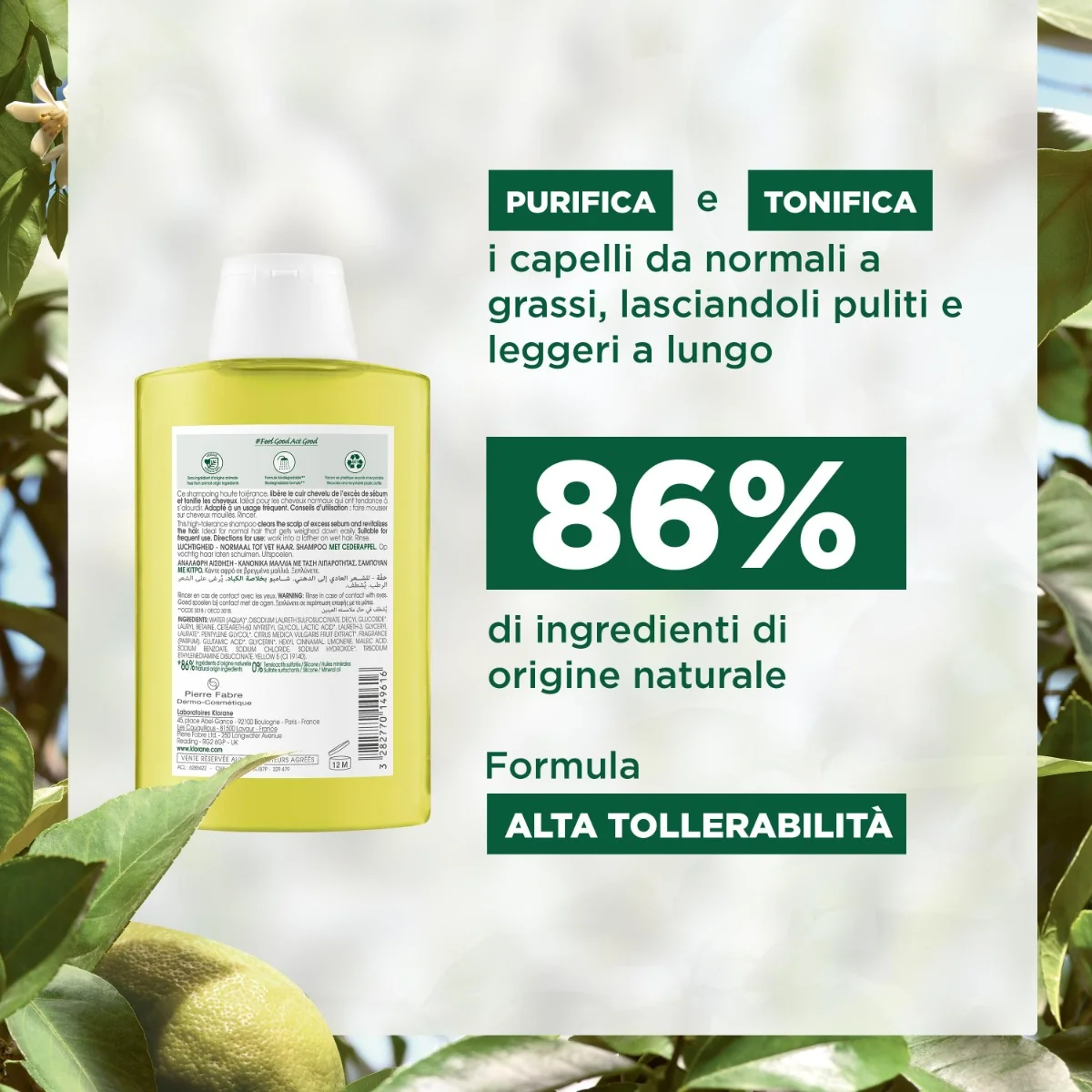 Klorane Shampoo Cedro 200 Ml Purifica e Rivitalizza
