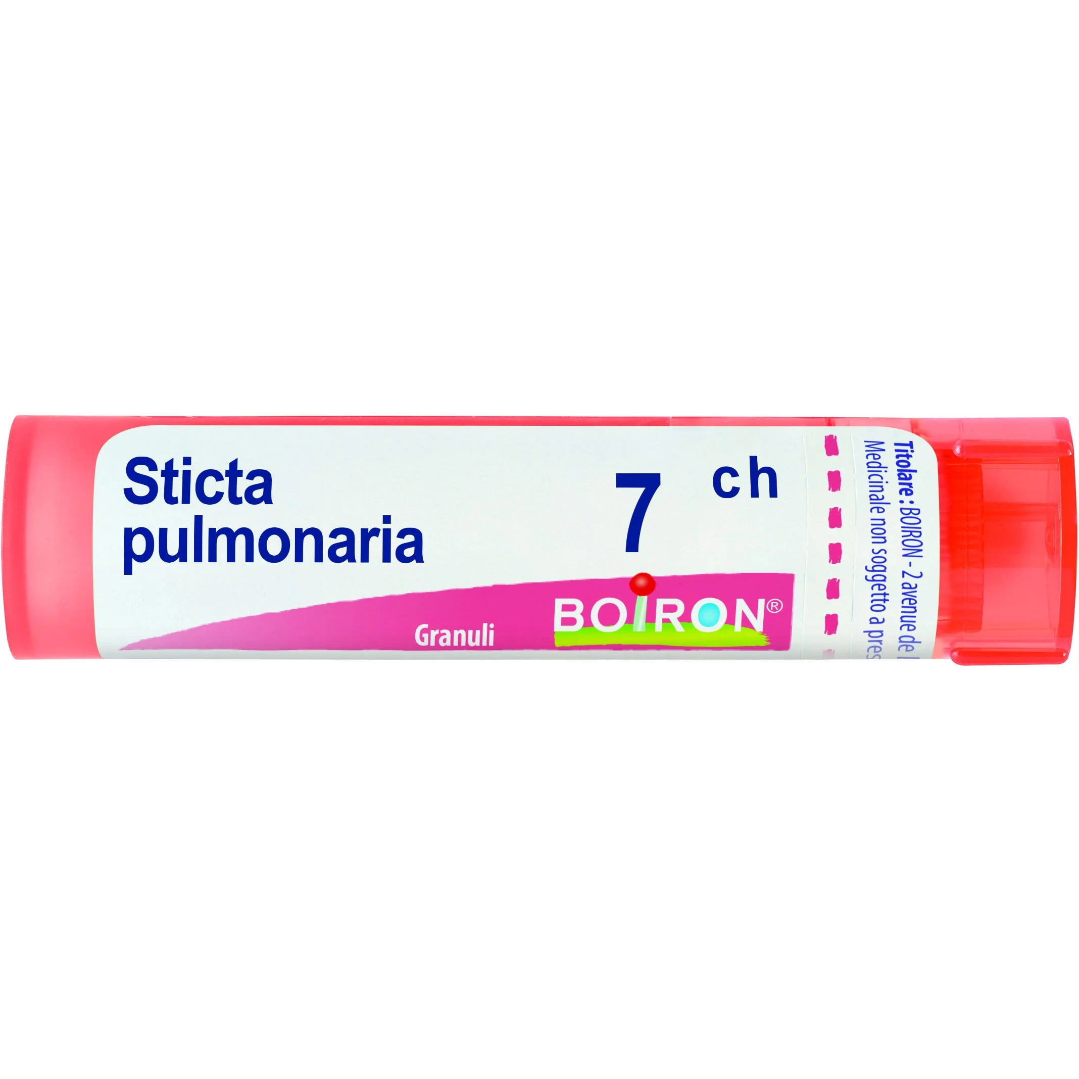 Sticta Pulmonaria 7 Ch 80 Gr 4 G 
