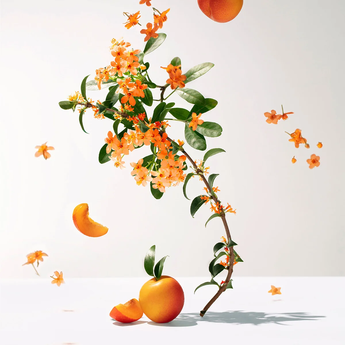 R&G Fleur d’Osmanthus Eau Parfumée 30 ml Acqua di benessere profumata